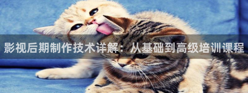 酷客影院理论