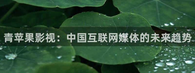 酷客影院最新电影