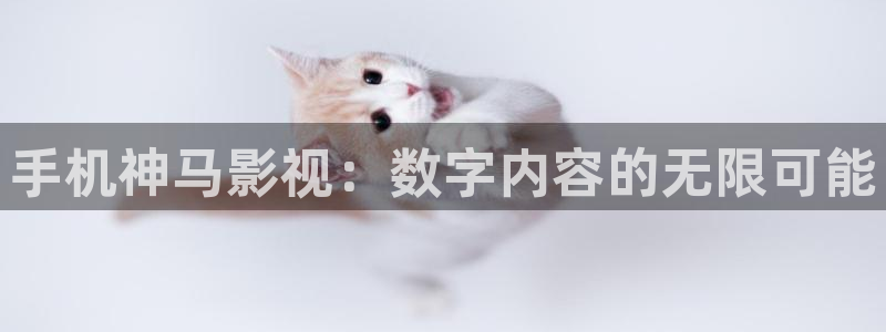 酷客影院手机在线观看免费