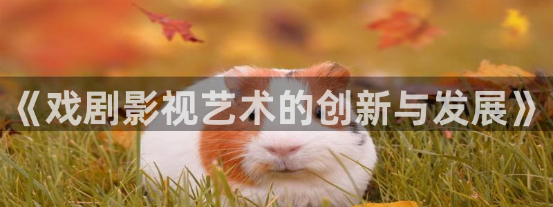 酷客影院免费网：《戏剧影视艺术的创新与发展》