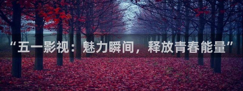 酷客影院看电影：“五一影视：魅力瞬间，释放青春能量”