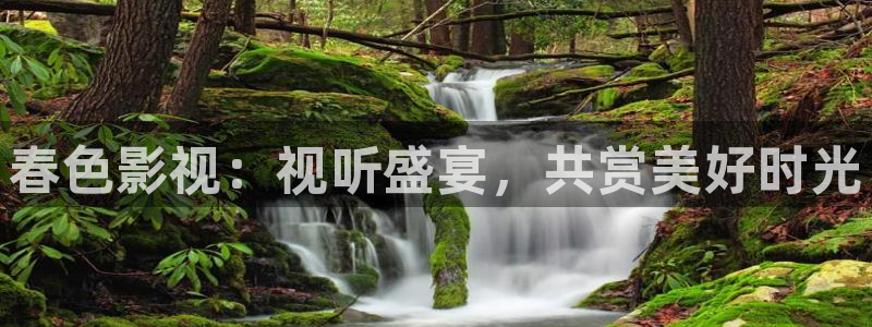 酷客新影视