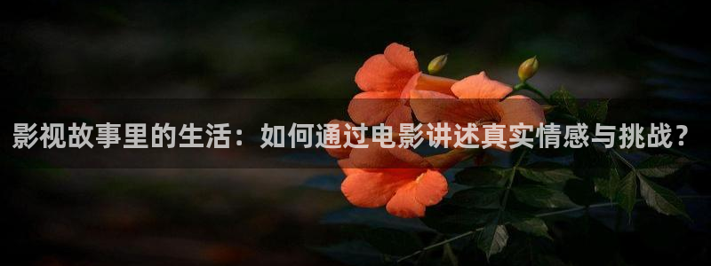 酷客影院免费观看完整版：影视故事里的生活：如何通过电影讲述真实情感与挑战？