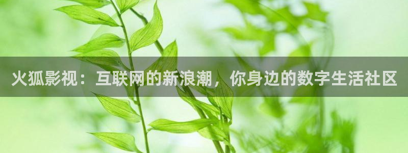 酷客影院首页电视剧
